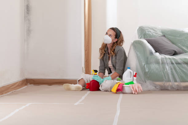 Reliable Mold Remediation contractor in Reisterstown, MD by WQB Mold Removal